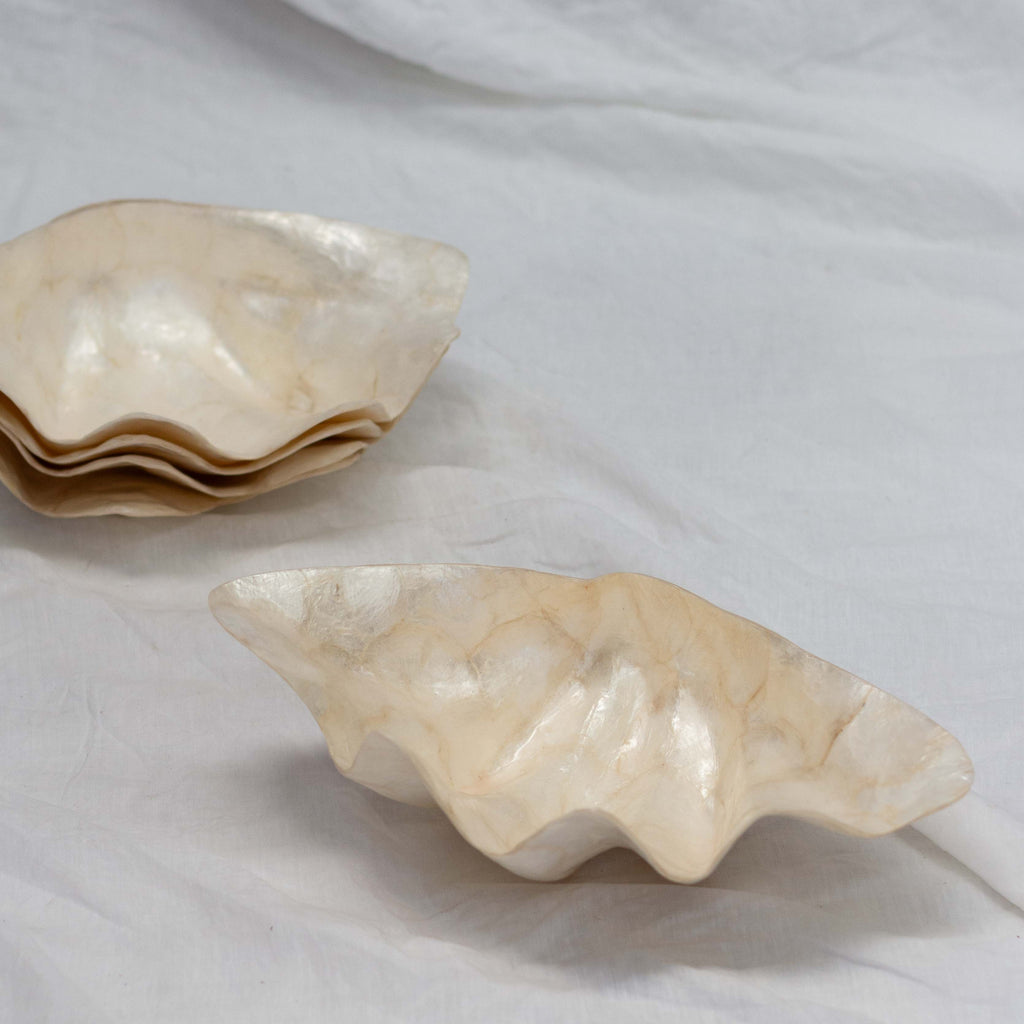Large Capiz Shell Dish – Harry and Kit